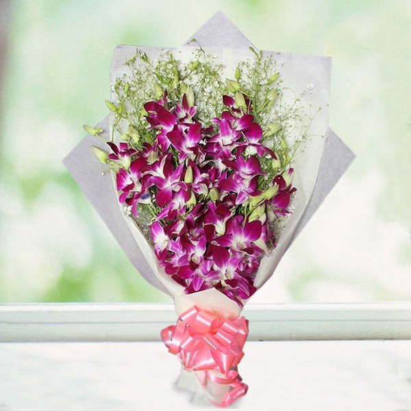 Purple Orchid